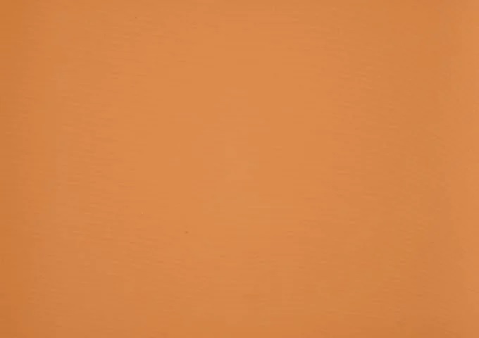 POL 0034
