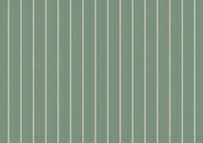 POL D539